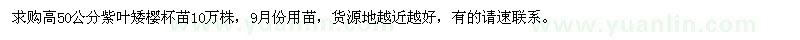 求購高50公分紫葉矮櫻杯苗