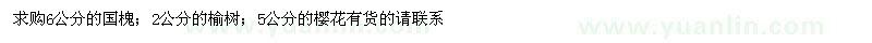 求購國槐、榆樹、櫻花