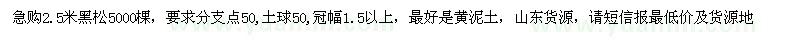 求購2.5米黑松