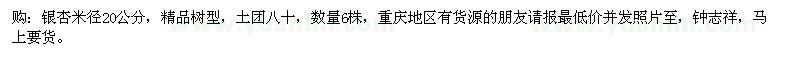 求購米徑20公分銀杏