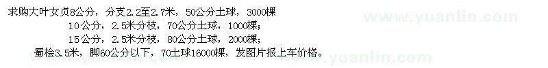 求購8、10、15公分大葉女貞、3.5米蜀檜