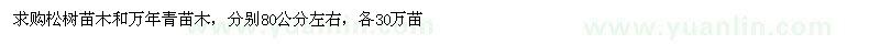 求購(gòu)松樹(shù)、萬(wàn)年青