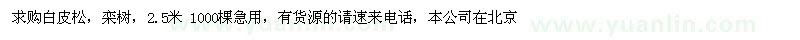 求購白皮松、欒樹