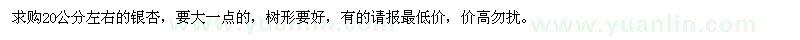 求購20公分左右銀杏