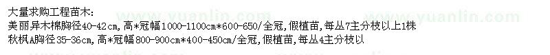 求購美麗異木棉、秋楓