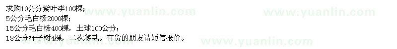 求購紫葉李、毛白楊、柿子樹