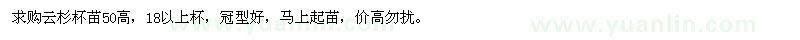 求購50高云杉杯苗
