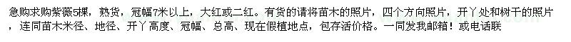 求購紫薇