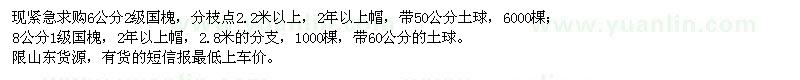 求購6公分、8公分國槐