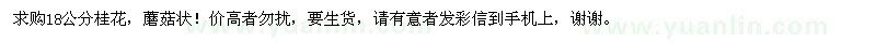 求購18公分桂花