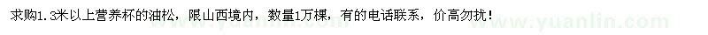 求購1.3米以上油松營養(yǎng)杯苗