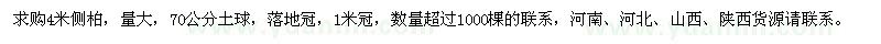 求購高4米側(cè)柏
