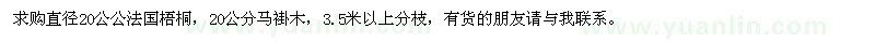 求購直徑20公公法國梧桐、20公分馬褂木