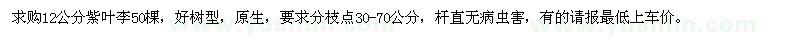 求購12公分紫葉李
