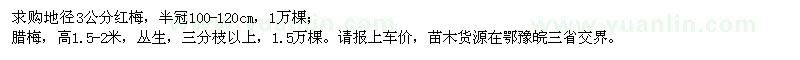 求購地徑3公分紅梅、高1.5-2米臘梅