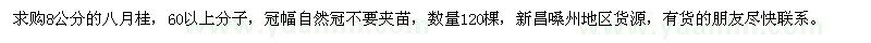 求購8公分八月桂