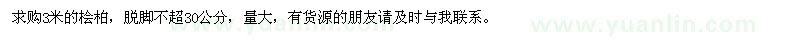 求購(gòu)3米檜柏