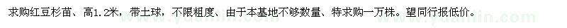 求購(gòu)高1.2米紅豆杉苗