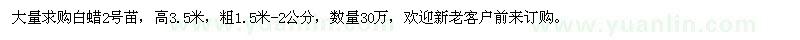 求購高3.5米白蠟2號苗