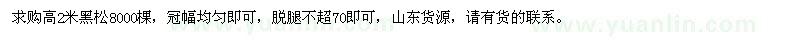 求購高2米黑松