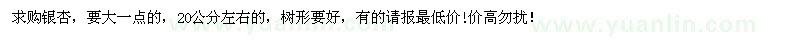 求購(gòu)20公分左右銀杏