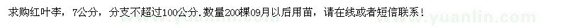 求購7公分紅葉李