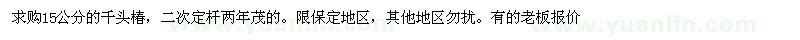 求購15公分千頭椿 