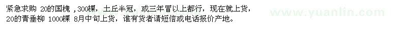 求購國槐、青垂柳
