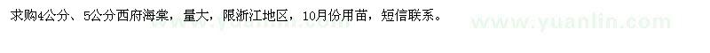求購4公分、5公分西府海棠