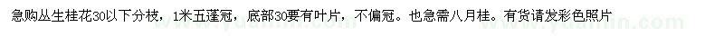求購(gòu)1米五蓬冠叢生桂花