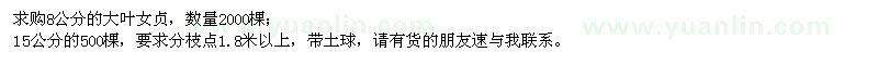求購8公分大葉女貞