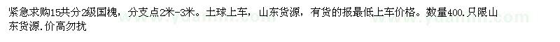 求購15公分國槐