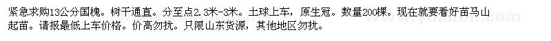 求購13公分國槐