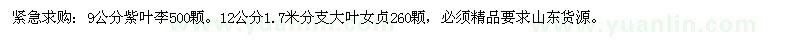 求購9公分紫葉李、12公分大葉女貞