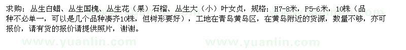 求購(gòu)叢生白蠟、叢生國(guó)槐、叢生花石榴等苗木