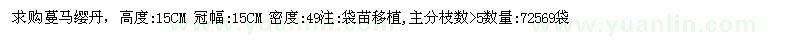 求購(gòu)高度15CM蔓馬纓丹