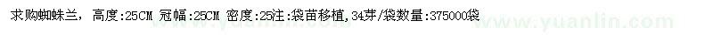 求購高度25CM蜘蛛蘭