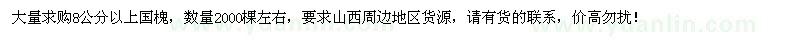 求購8公分以上國槐