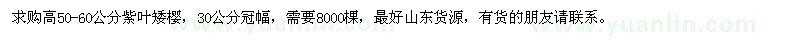 求購高50-60公分紫葉矮櫻