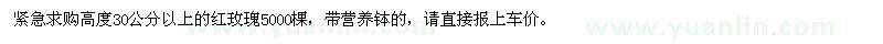 求購高度30公分以上紅玫瑰