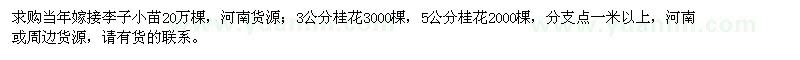 求購當(dāng)年嫁接李子小苗、2公分、5公分桂花