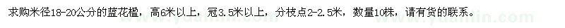 求購(gòu)米徑18-20公分的藍(lán)花楹