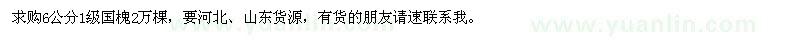 求購6公分國槐