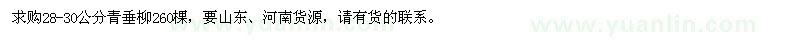 求購28-30公分青垂柳