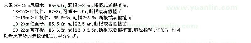 求購鳳凰木、細(xì)葉欖仁、仁面子、藍(lán)花楹