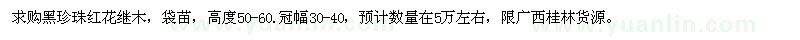 求購黑珍珠紅花繼木