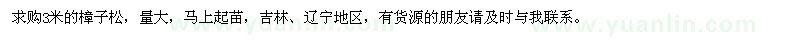 求購3米樟子松