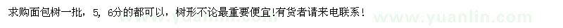 求購5、6分面包樹