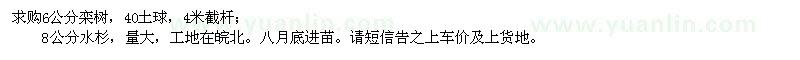 求購6公分欒樹、8公分水杉