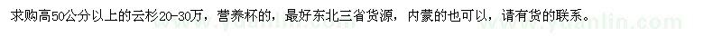 求購高50公分以上的云杉